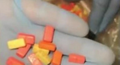 Kedi kumu ve tenekelere gizlenmiş 6 bin 740 uyuşturucu hap ele geçirildi