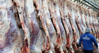 Kırmızı et üretimi 2022'de yıllık yüzde 12,3 artışla ilk kez 2 milyon tonu geçti