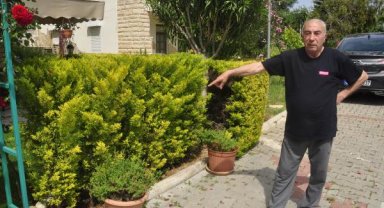 Komşusunun ağaçlarını kesmekten, 6 yıl hapsi istendi