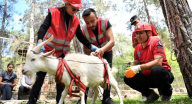 Konyaaltı personeli, hayvan kurtarma eğitimini tamamladı