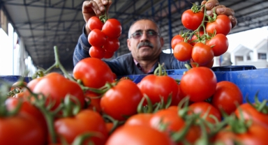 Meyvede üretim de fiyat da arttı