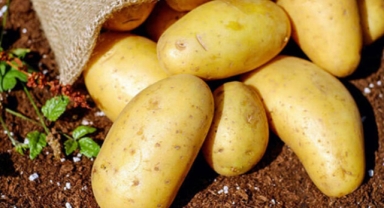 Nisanda en çok patatesin fiyatı arttı