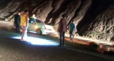 Otomobil sürüye çarptı; 17 koyun öldü