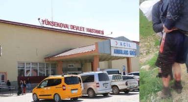 Pancar toplarken ayının saldırısına uğradı