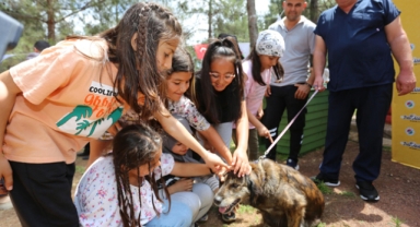 Pati Atölyesi’nden ‘can dostlar’a yuva