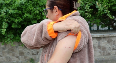 Sokak hayvanlarını korurken saldırıya uğradı