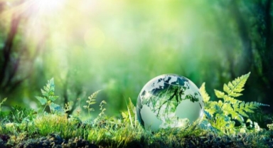 Son 20 yılda enerji talebinin en hızlı arttığı OECD ülkesi Türkiye oldu