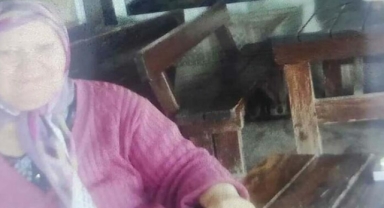 Torununun arkadaşını evinde istemediği için çapayla öldürüldü