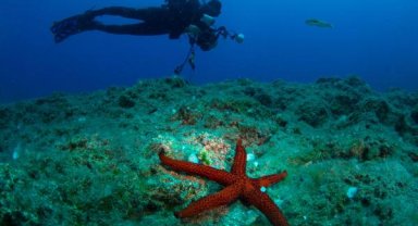 Uluslararası Kemer Sualtı Günleri başlıyor