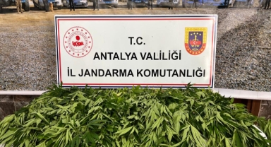 Uyuşturucu operasyonu