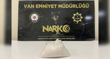 Van'da kaçak silah ve uyuşturucu ticareti operasyonunda 1 tutuklama