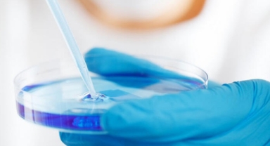 Yapay zekayla antibiyotik bulundu