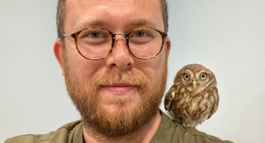 Yaralı kuşlara şifa oluyor