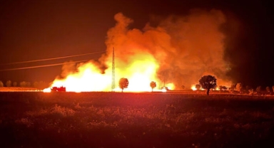 400 dönümde ekili buğday ve mercimek yandı