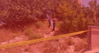 Ağaçların arasında hareketsiz bulundu, kardeşi tarafından öldürüldüğü belirlendi