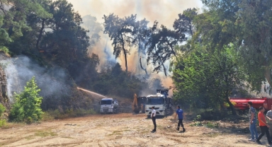 Aksu’da orman yangını