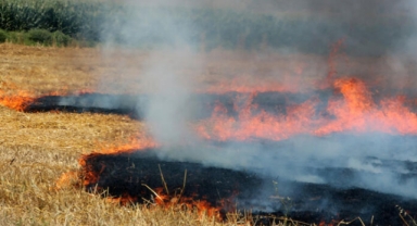 'Anız yakmak daha çok gübre masrafına neden oluyor'