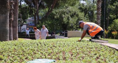 Antalya caddelerine 300 bin çiçek dikildi