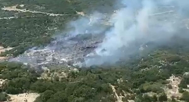 Antalya'da orman yangını; 1 saatte söndürüldü