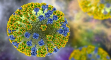 Bilim insanları, kuş gribinin insanlara bulaşmasını engelleyen geni buldu