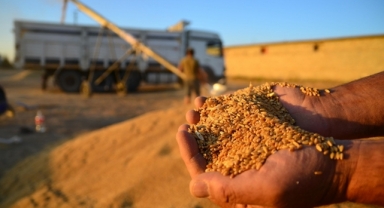 Buğday alım fiyatları üreticilerin beklentisini karşıladı