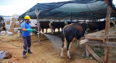 Büyükşehir bayrama hazır