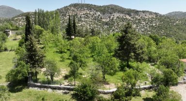 Büyükşehir'den Ormana'ya kamp ve karavan alanı