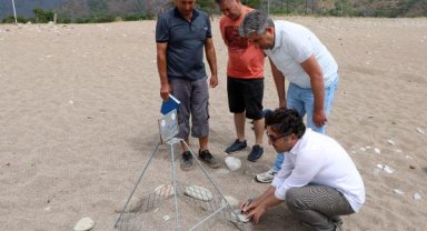 Çıralı'da Caretta Caretta yasakları