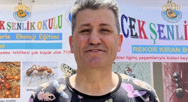 Faydalı böcek uygulaması yaygınlaşıyor