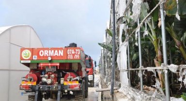 Gazipaşa'da muz serasında yangın