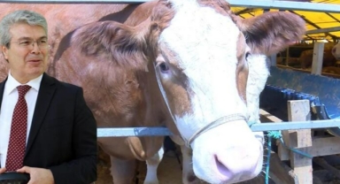 Hasta kurbanlığı anlamak için kulağını tutun