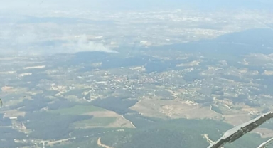 İzmir’de orman yangını