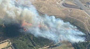 İzmir'de orman yangını