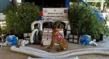 Jandarma uyuşturucu tacirlerine geçit vermiyor