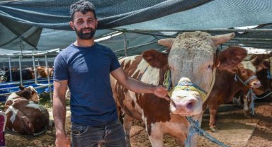 Kepez'de kurban satış ve kesim noktaları hazır