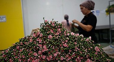 Kesme Çiçekte  hedef büyüdü