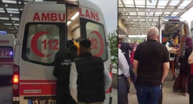 Kooperatif bekçisi, ağaçtan erik toplayan kişiyi vurdu