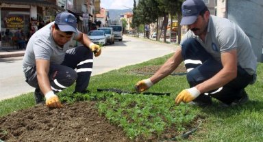 Korkuteli çiçeklerle renklendi