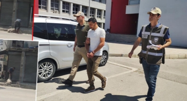 Koyunu bayıltana kadar döven, kasap çıktı