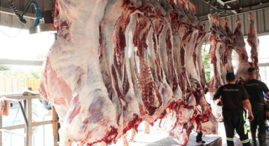  Kurban kesenlere uyarı