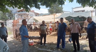 Kurban satılan yerlerde denetim