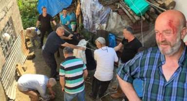 Kurbanlık boğa, kasabı hastanelik etti