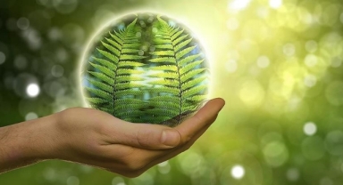 Küresel hidrojen üretiminin yüzde 94'ü 2050'de yenilenebilir enerji kaynaklarından elde edilecek