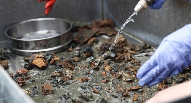 Müsilaj sonrası Tavşan Adası'nın deniz canlıları takip edilecek