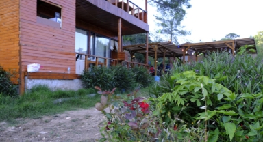 Olympos’ta yeni bir yaşam alanı