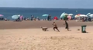 Sahilde kurbanlık kovaladılar