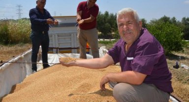 Serik'te hububat hasadı başladı