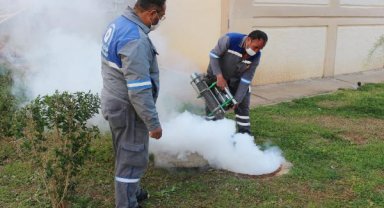 Sineksiz yaz için ilaçlama ordusu iş başında