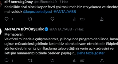 Sivrisinek isyanı sosyal medyada