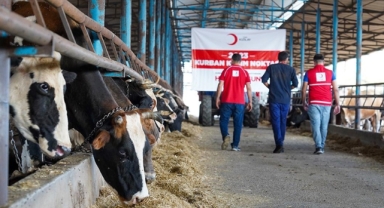 Türk Kızılay, Türkiye ve 21 ülkede kurban eti dağıtmaya başladı